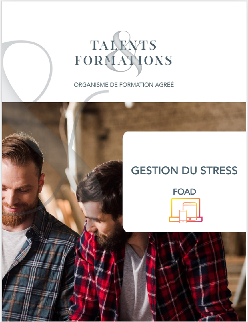 EFFICACITÉ PROFESSIONNELLE : GESTION DU STRESS – FOAD (FORMATION OUVERTE À DISTANCE)
